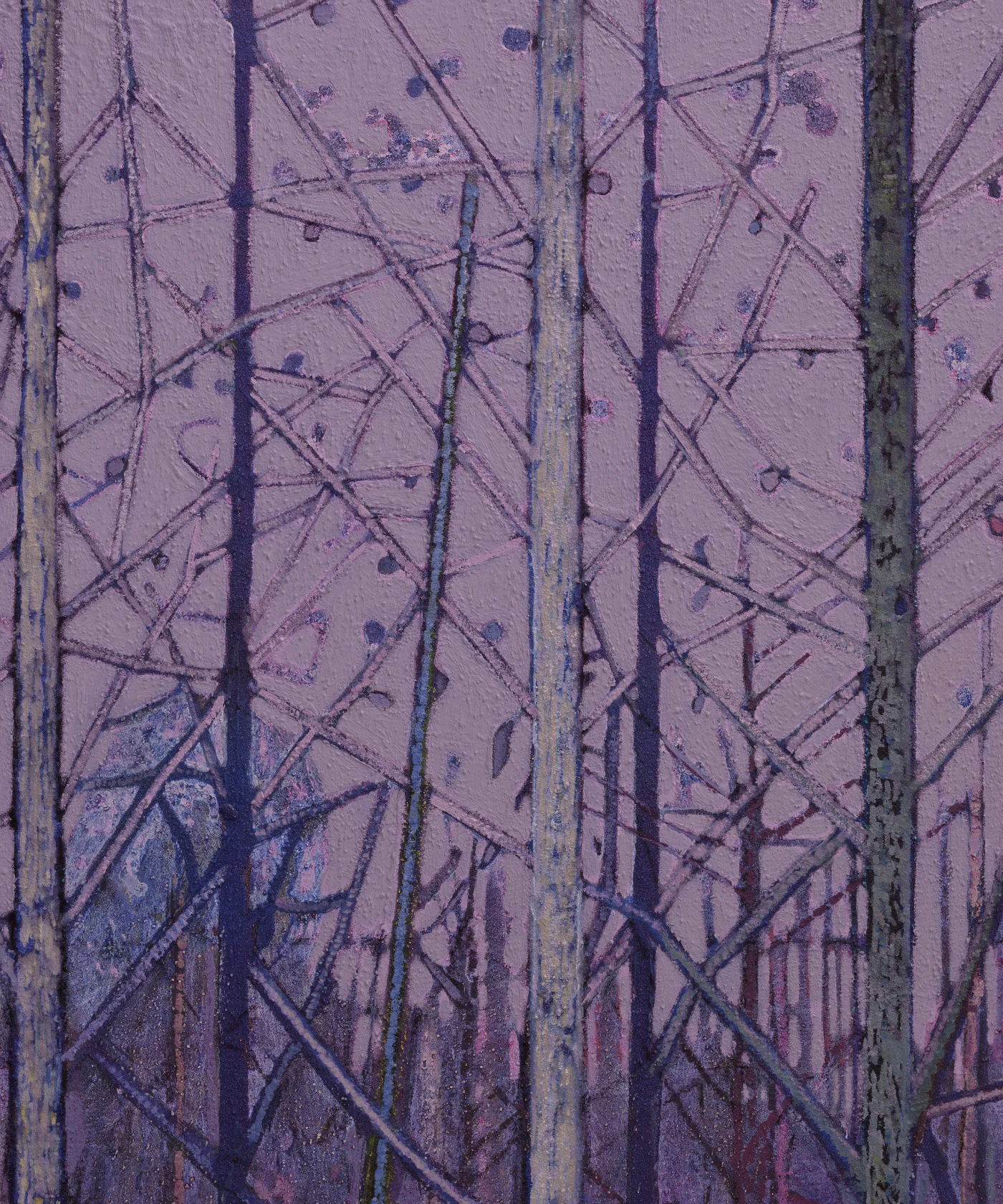Sky Glabush River through trees, 2024