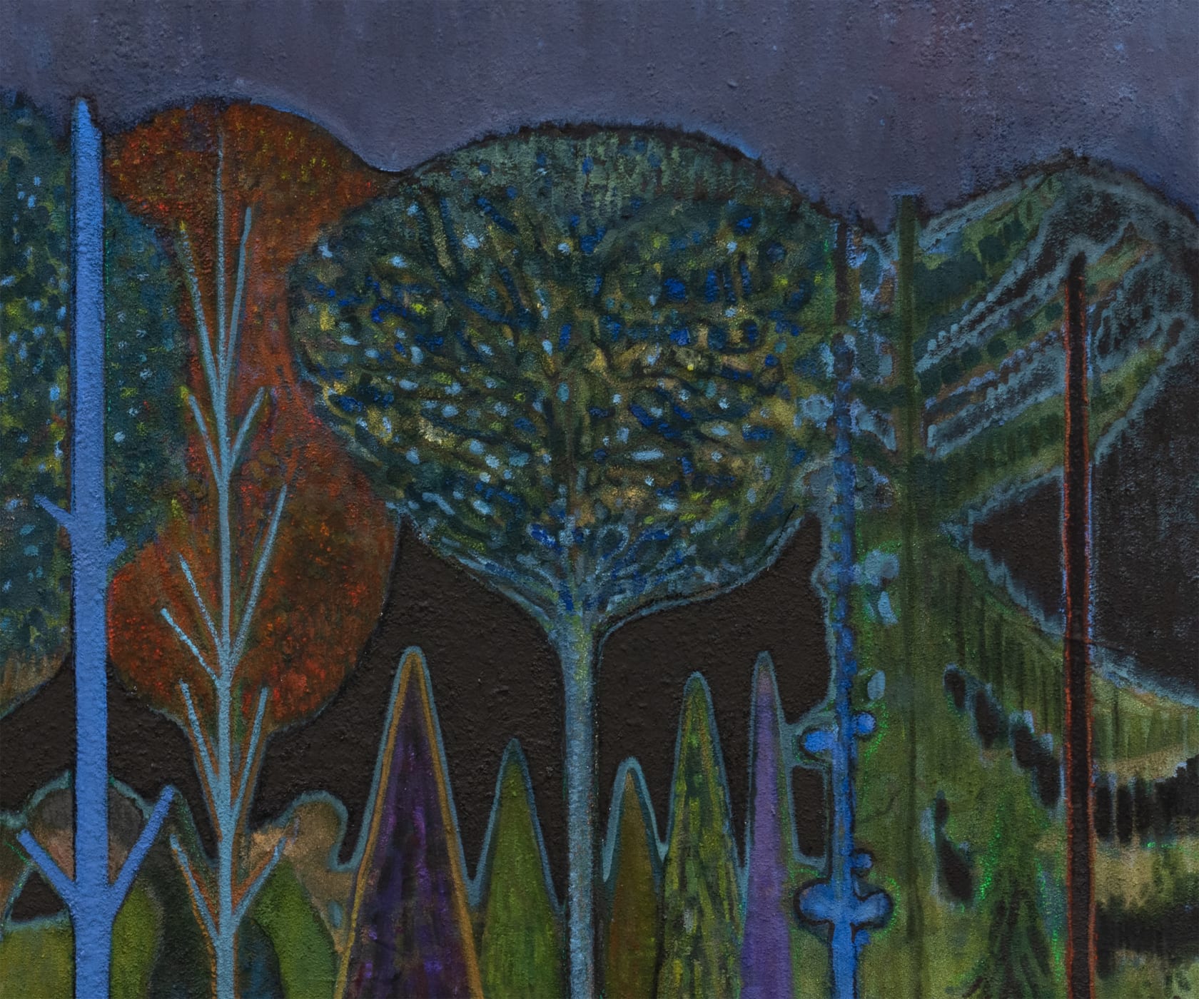 Sky Glabush Forest at Night, 2021