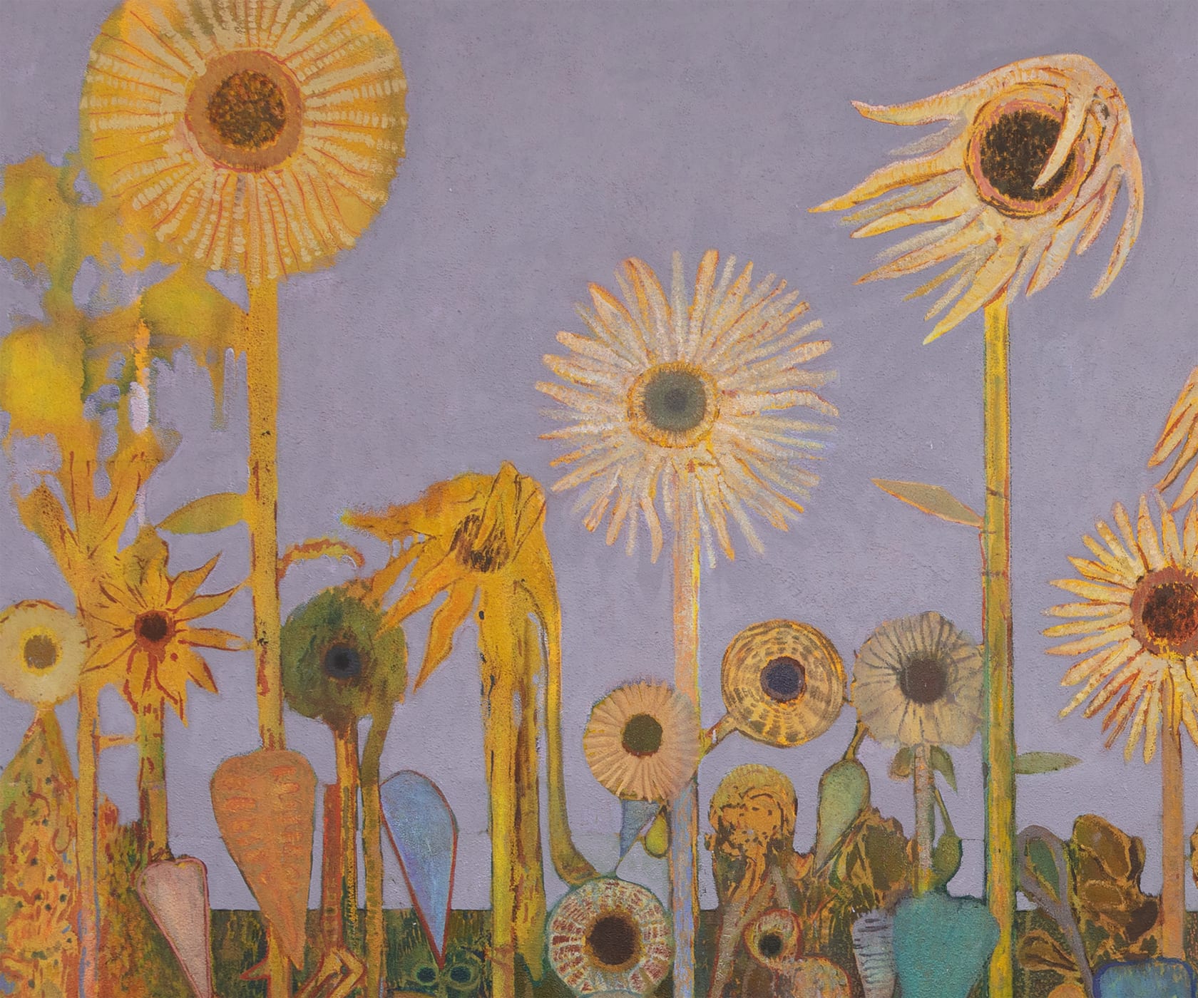 Sky Glabush Field of Sunflowers, 2022