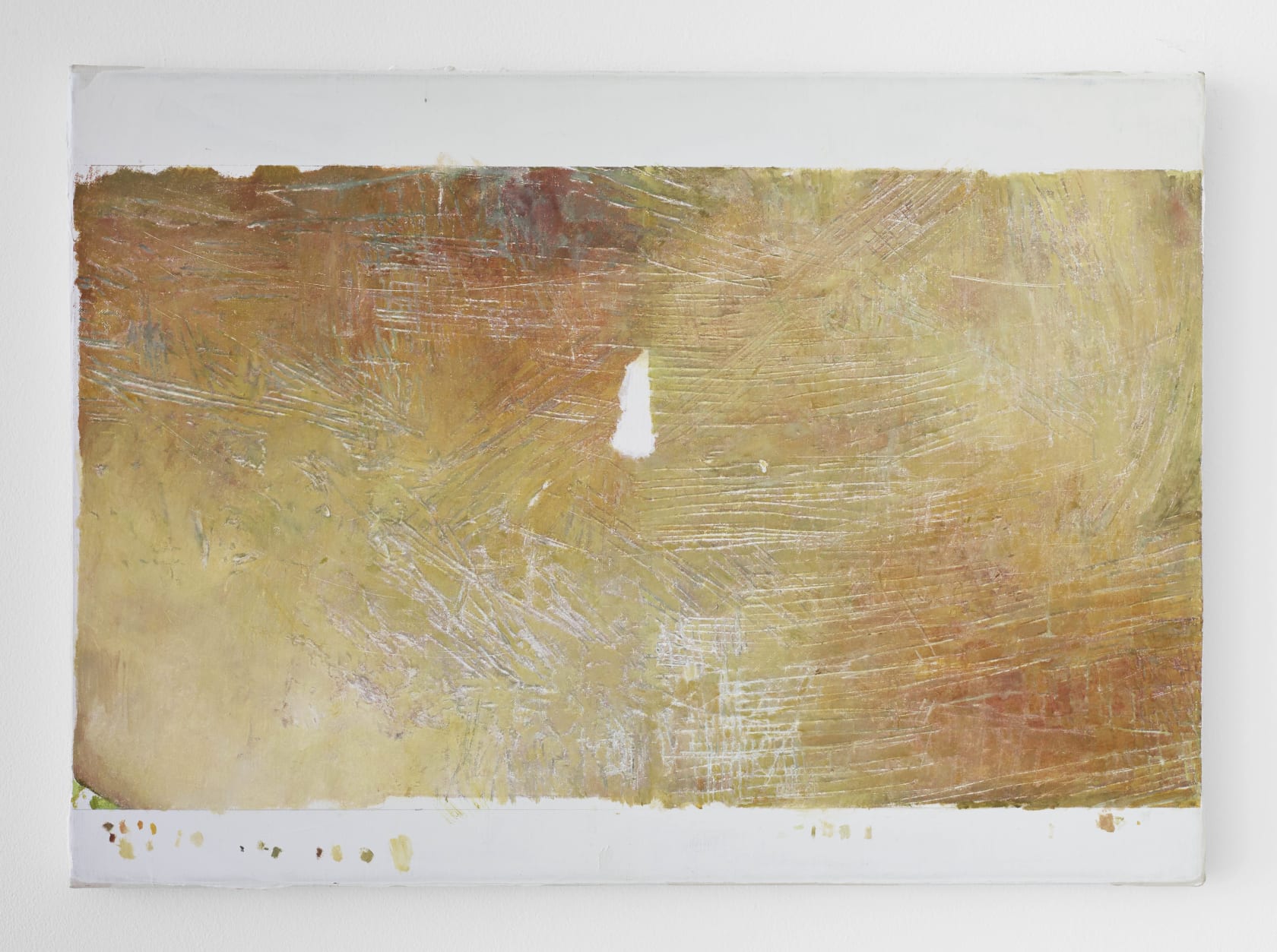 Juan Araujo, Double Oval (detail), 2018