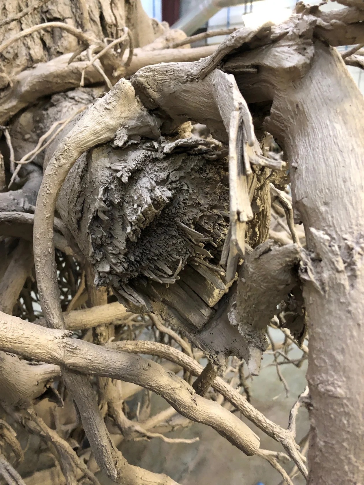 Jim Hodges Unearthed, 2015 - 2019