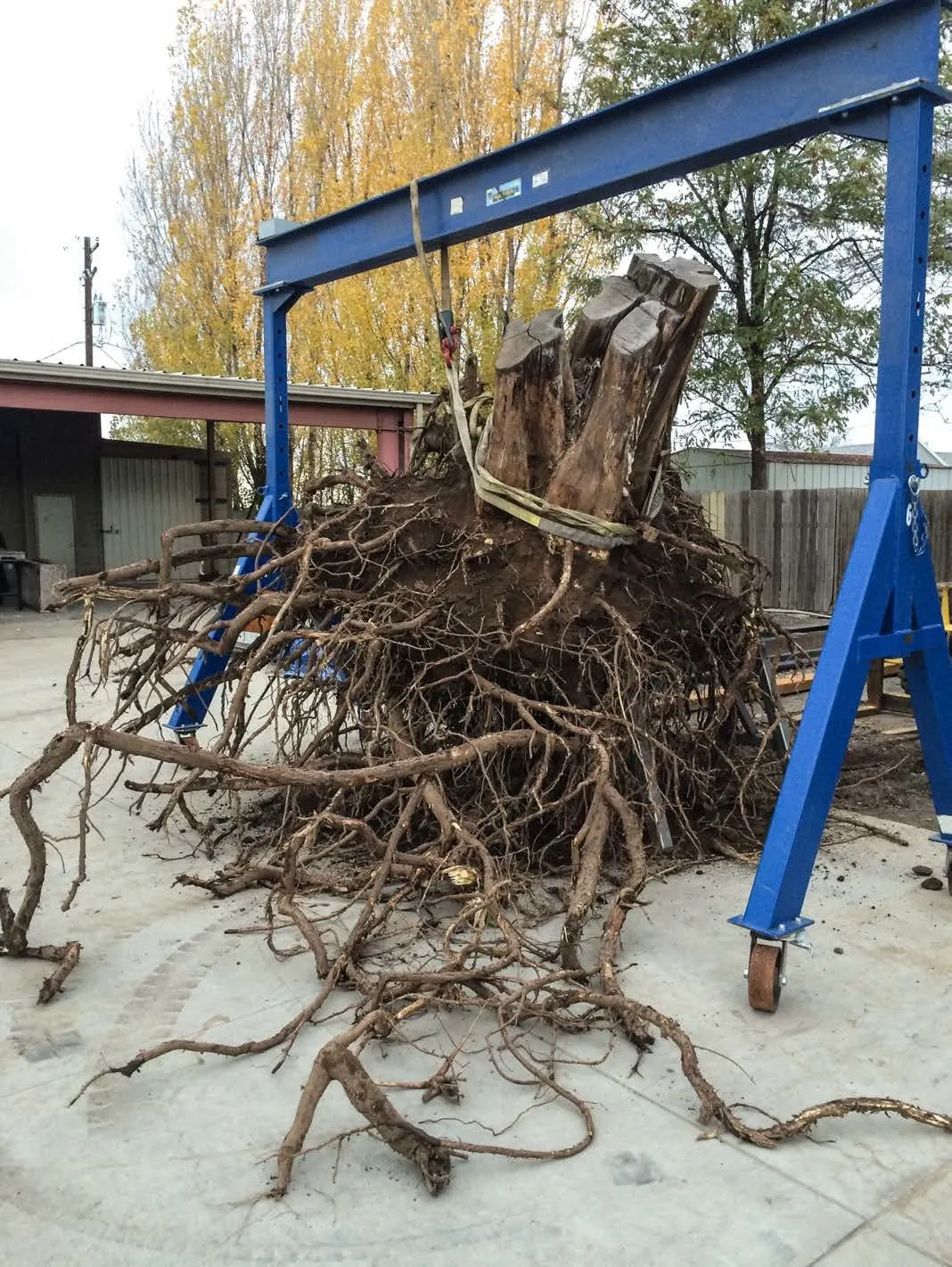 Jim Hodges Unearthed, 2015 - 2019