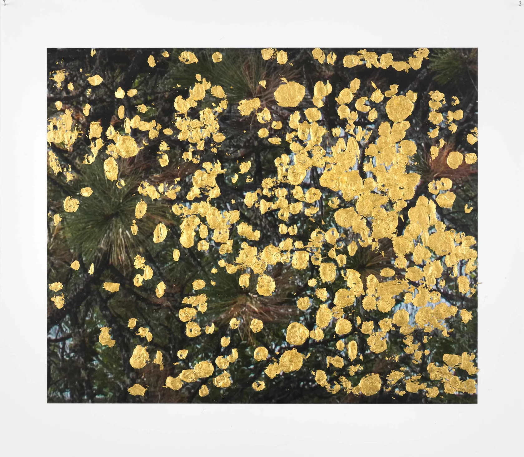 Jim Hodges, only you can take me there, 2017