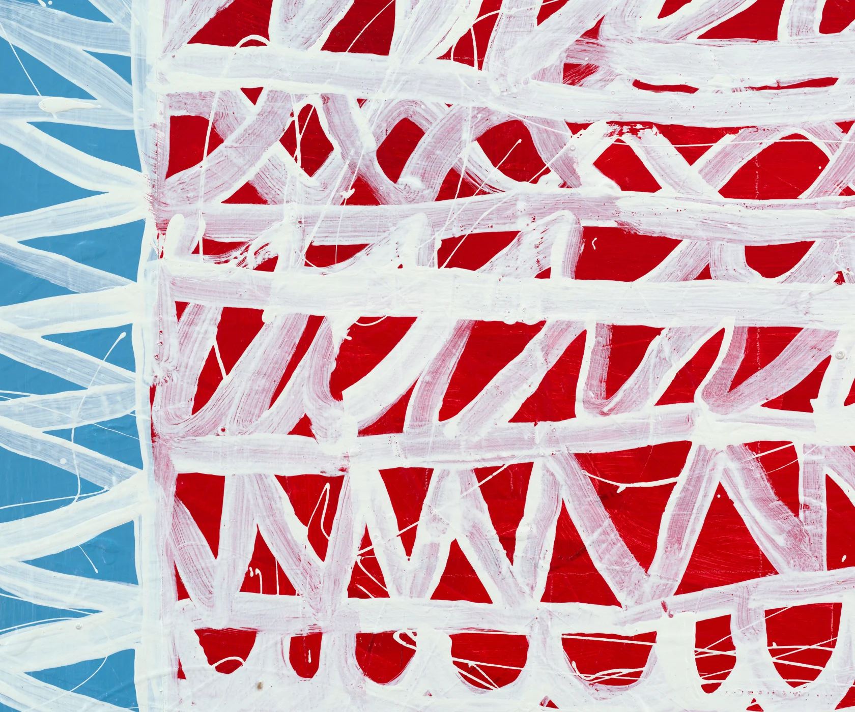 Pam Glick Rubber Fig, 2024