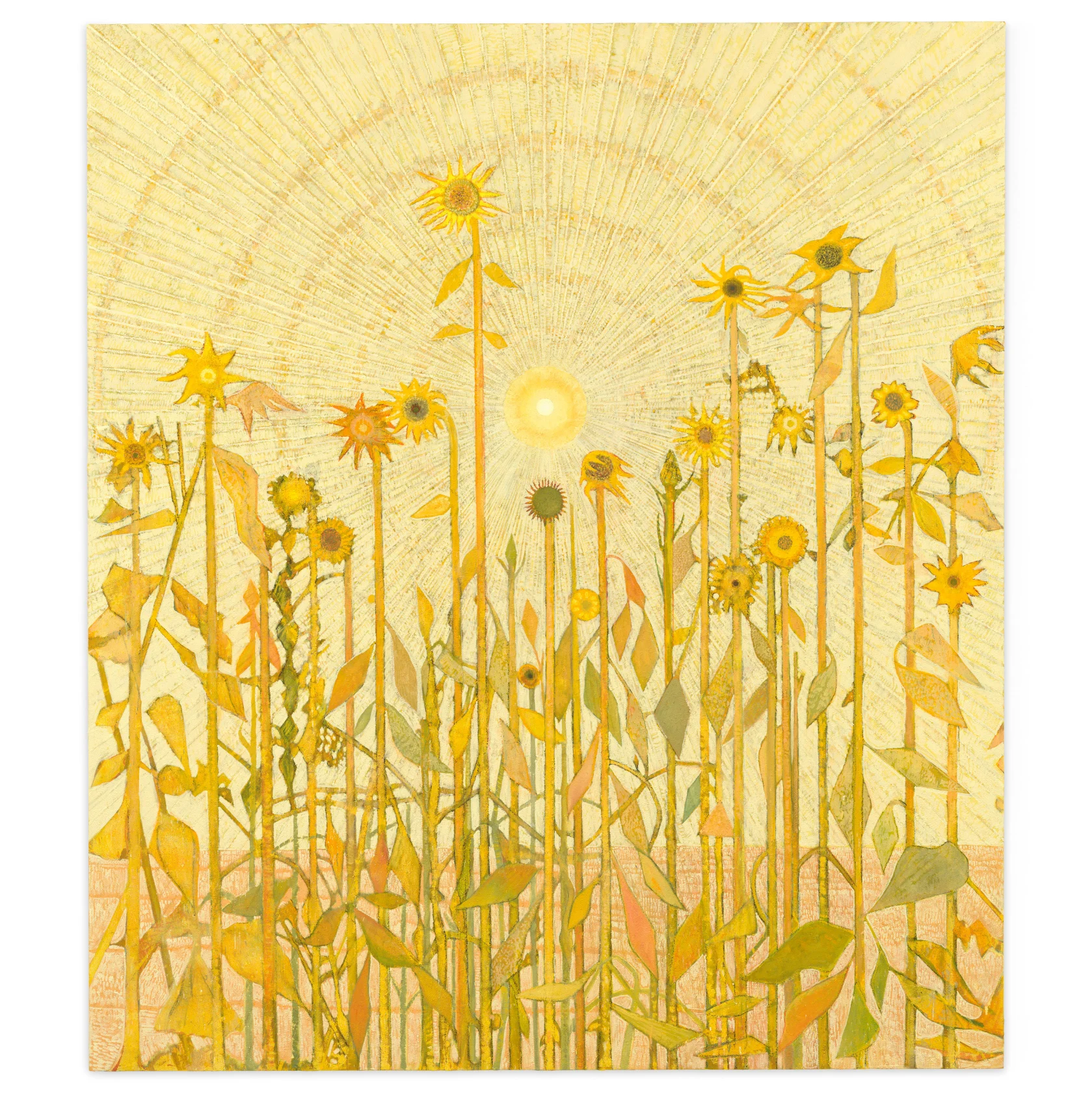 Sky Glabush The young novice, 2025