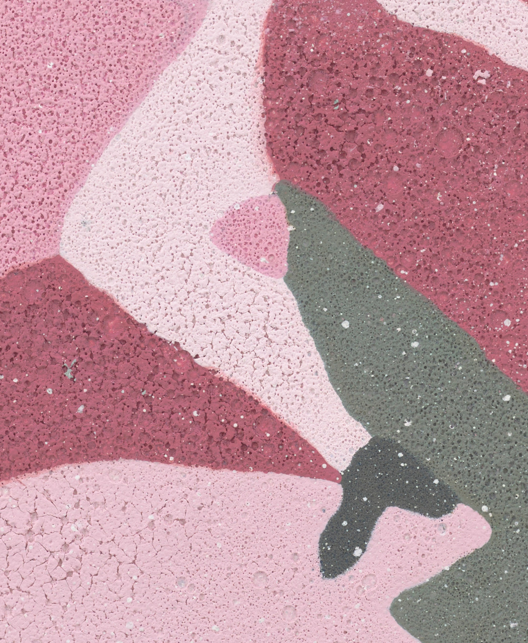 Kate Groobey, Rose, 2024