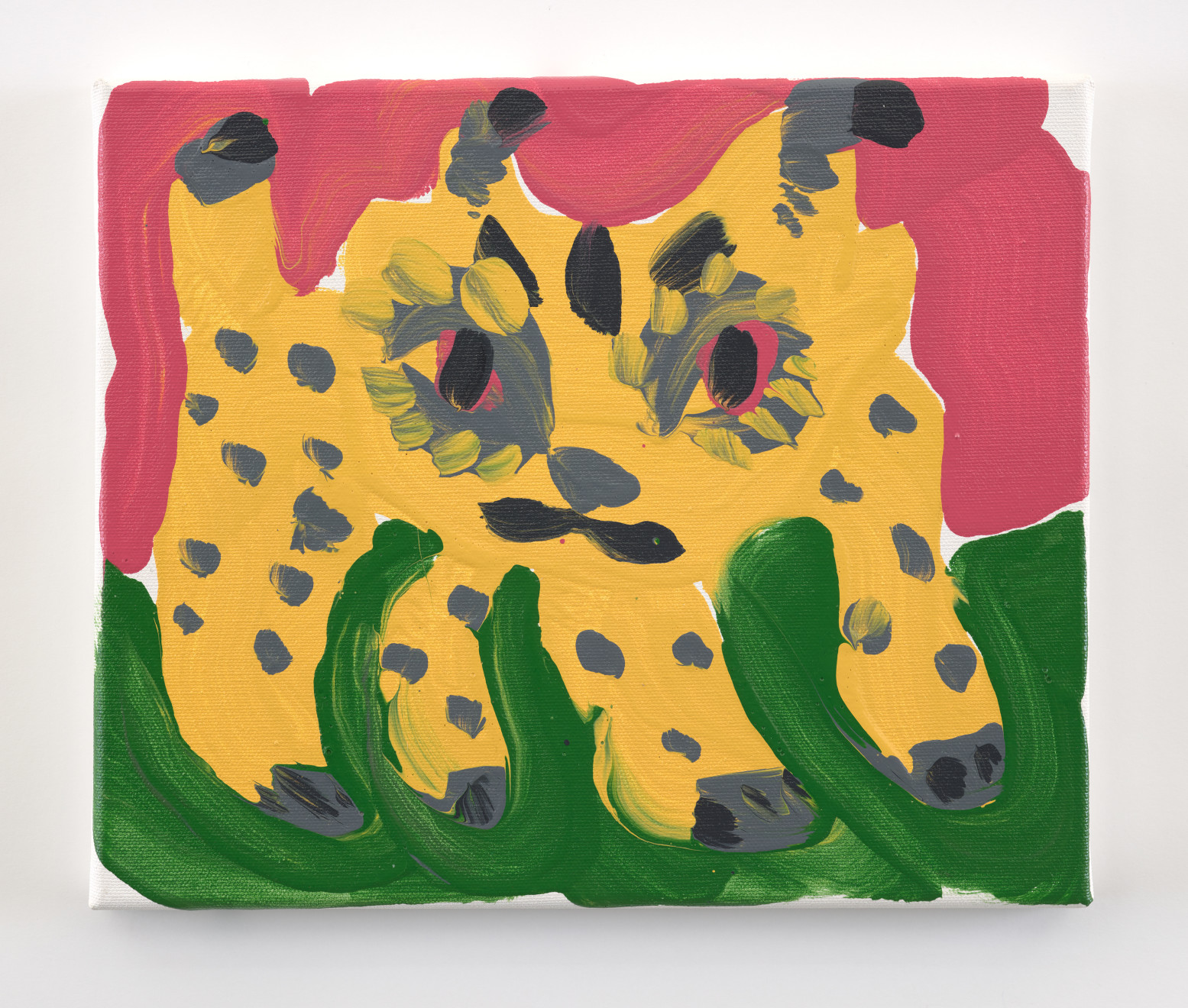 David Surman, Iberian Lynx Kitten, 2020