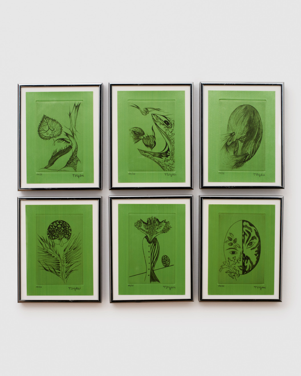 Toyen, La Forêt sacrilège et Autres Texts, 1970