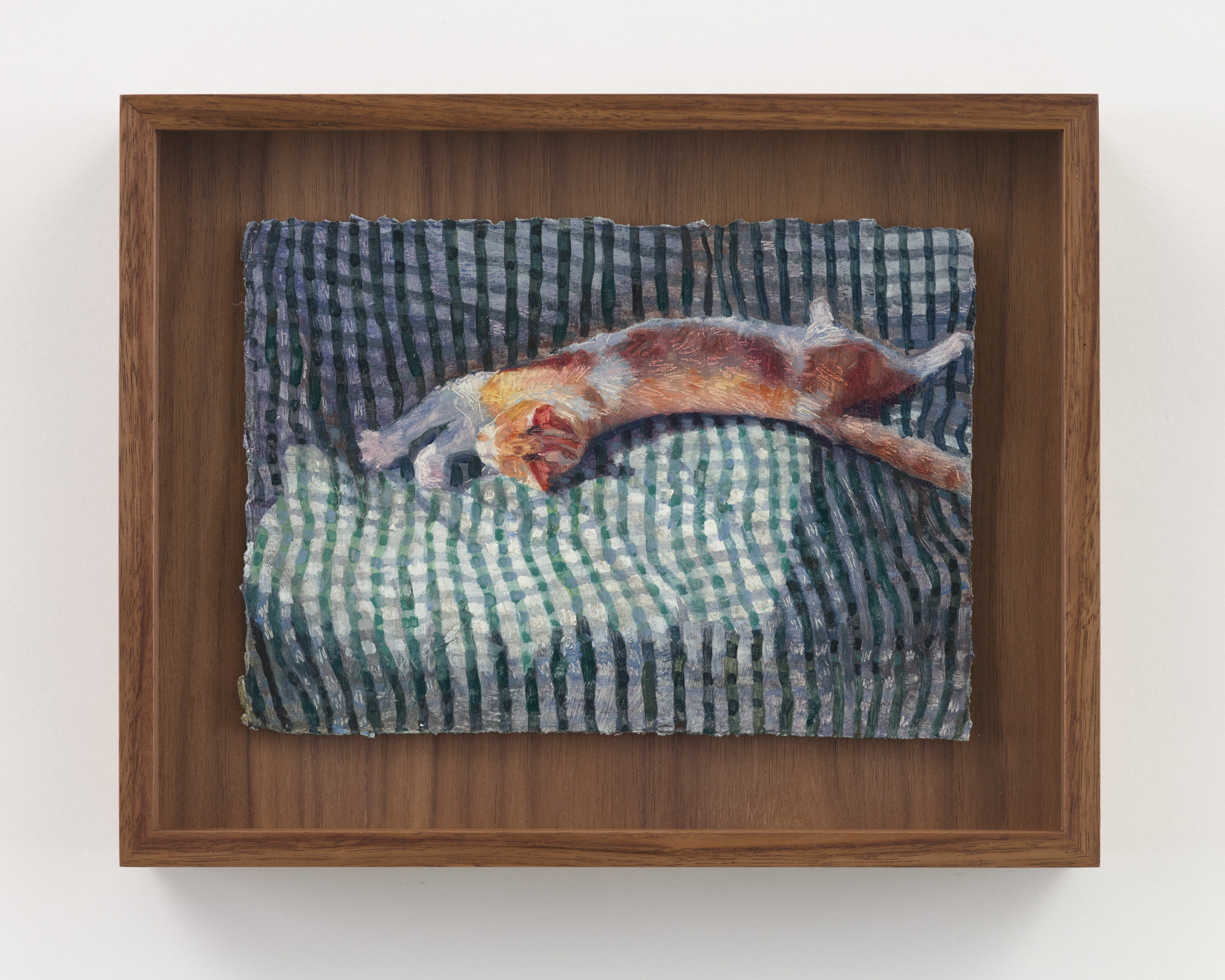 Anna Calleja, Censu, 2024