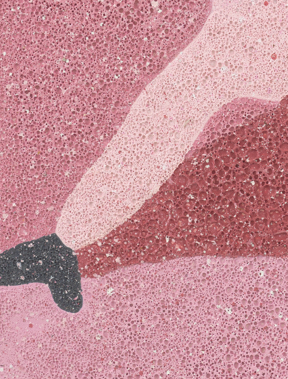 Kate Groobey, Rose, 2023