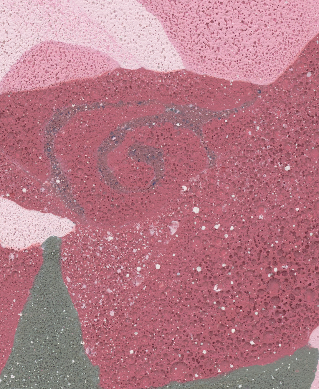 Kate Groobey, Rose, 2024
