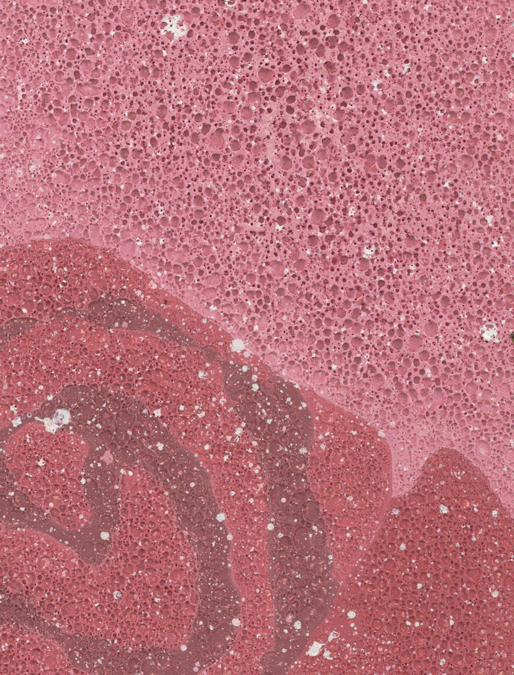 Kate Groobey, Bloom, 2023
