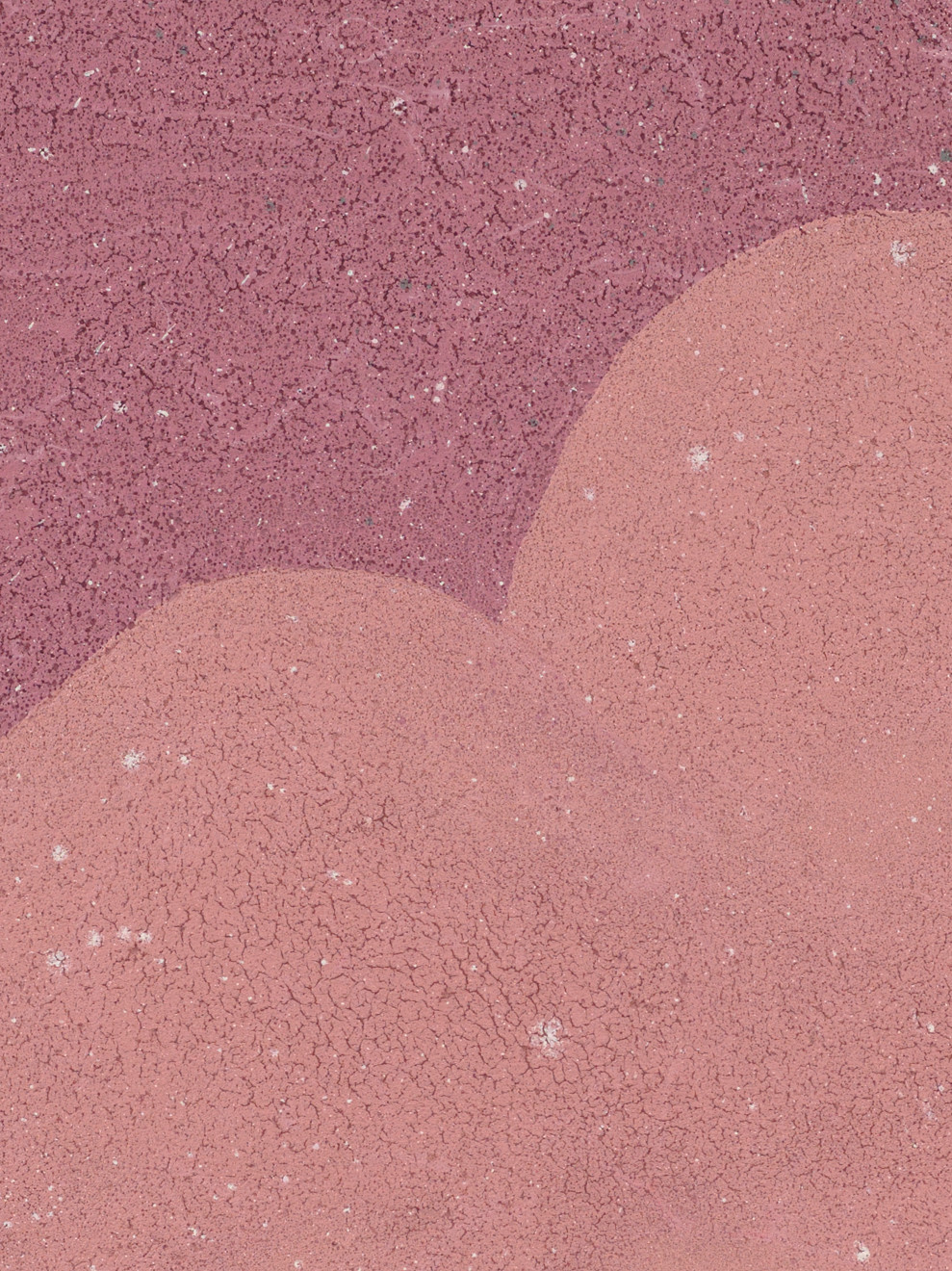 Kate Groobey, Hold onto my heart, 2024