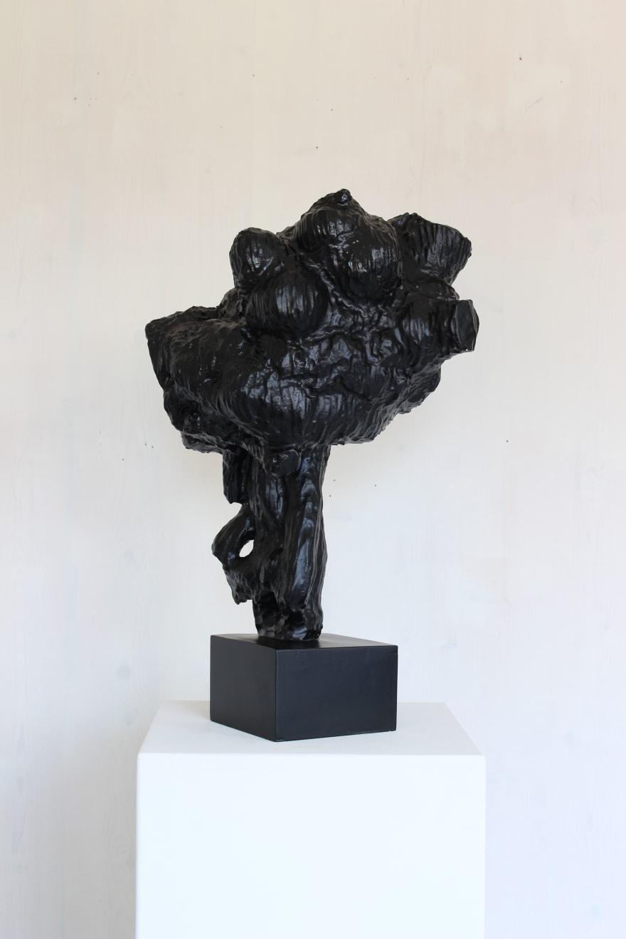 René Odermatt, Portrait Nr. 9, 2012