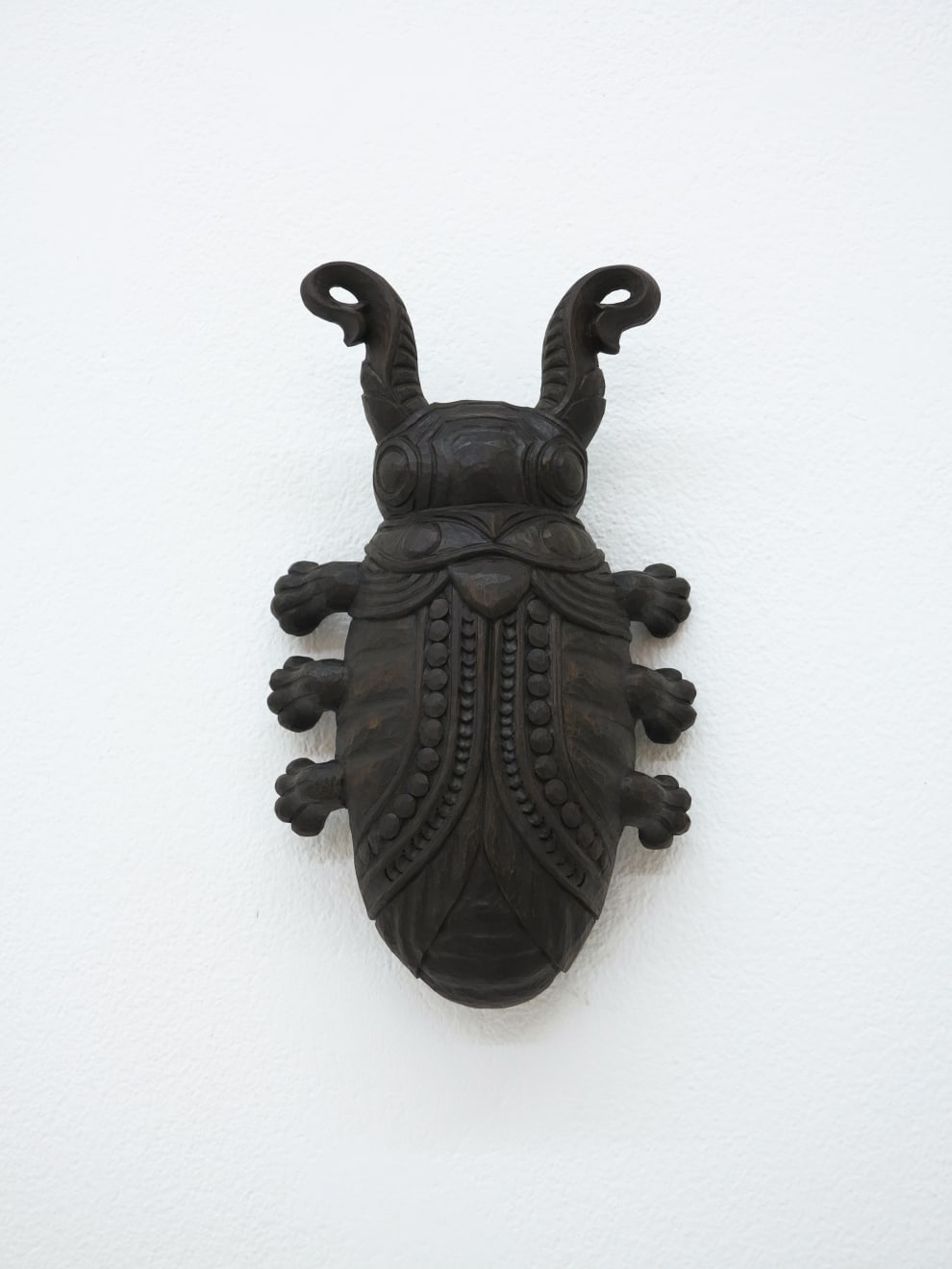 René Odermatt, Käfer (Stiefelknecht), 2016