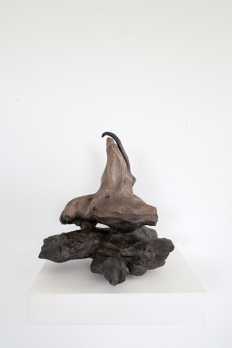 René Odermatt, Portrait Nr. 12, 2018