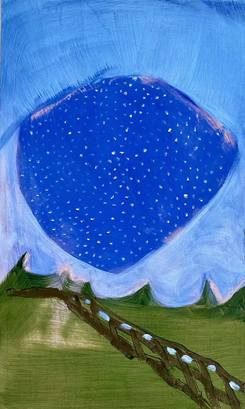 Ann Tracy, (11) Starling Phenomena, 2024