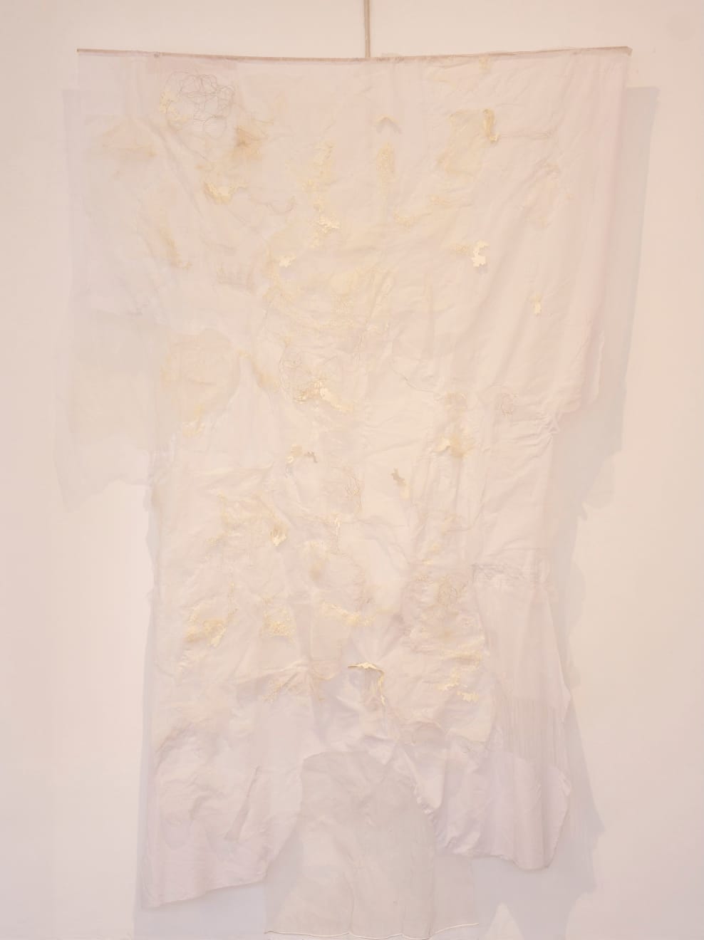 Safaa Erruas, Les Murmurs des Atlas oubliés, 2025