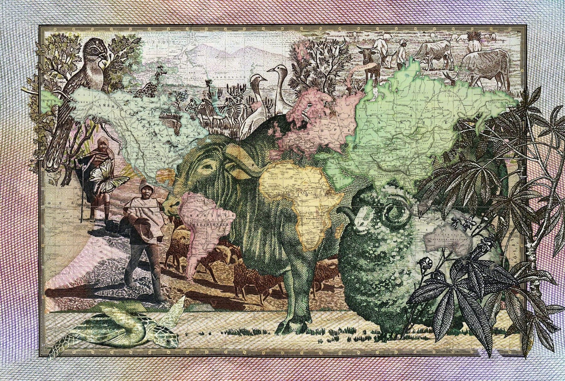 MALALA ANDRIALAVIDRAZANA, Figures 1862, Le Monde - Principales Decouvertes, 2015