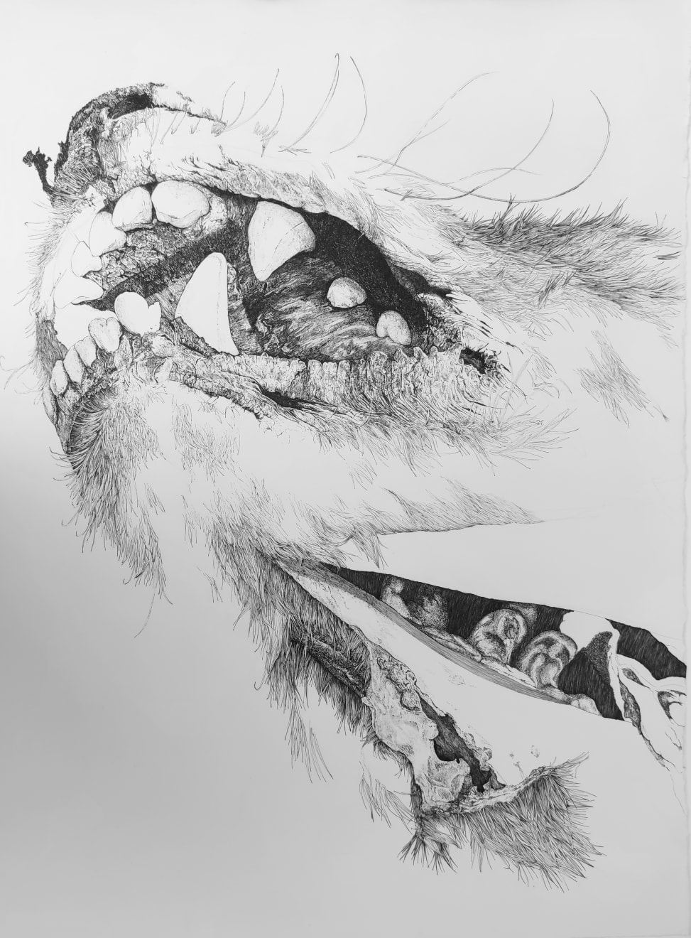 Florian Sông Nguyen, Les chiens errants n3, 2022