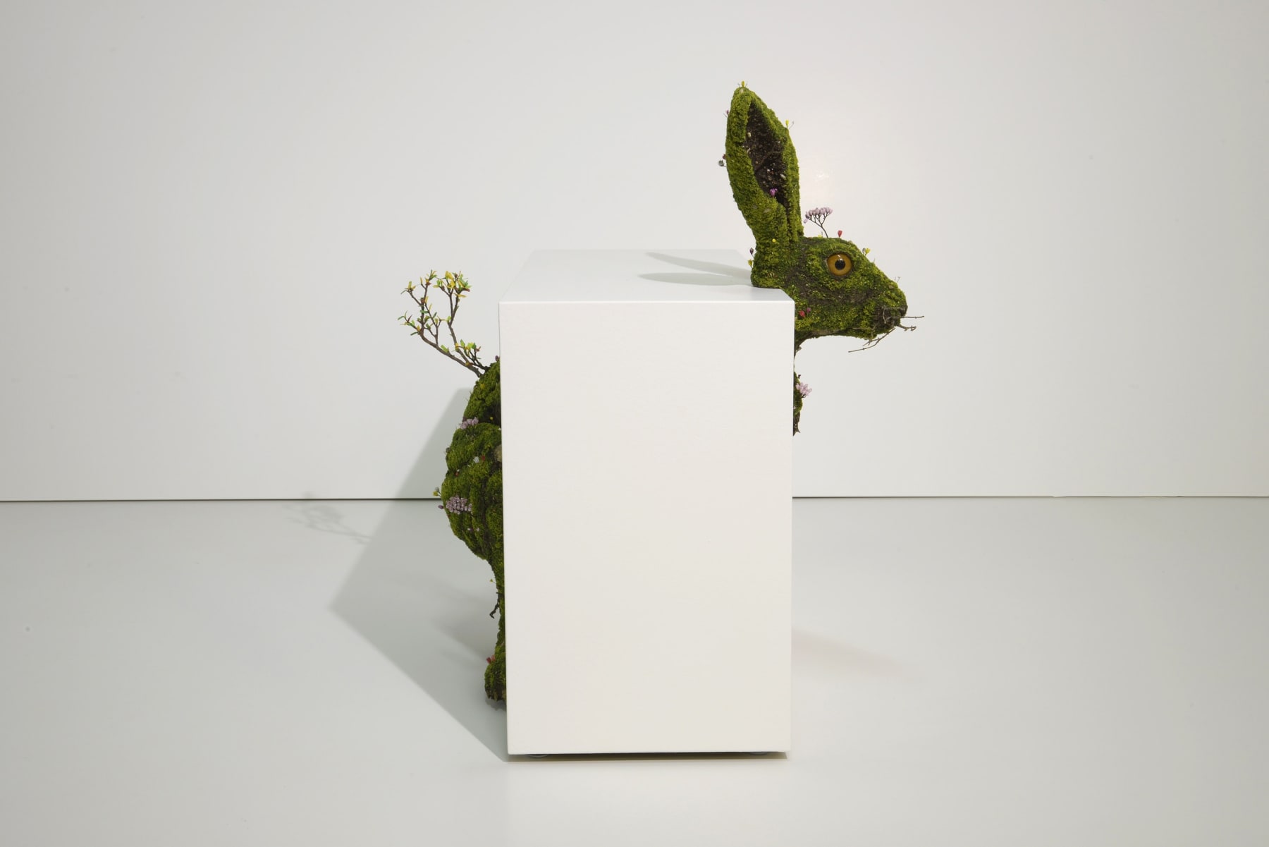 Emeric CHANTIER, Lepus Europaeus, 2017