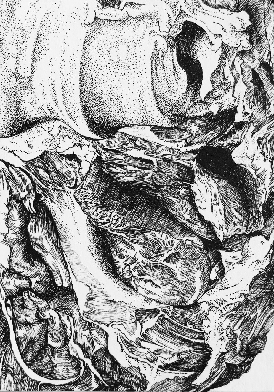 Florian Sông Nguyen, Parcelles n1, 2023