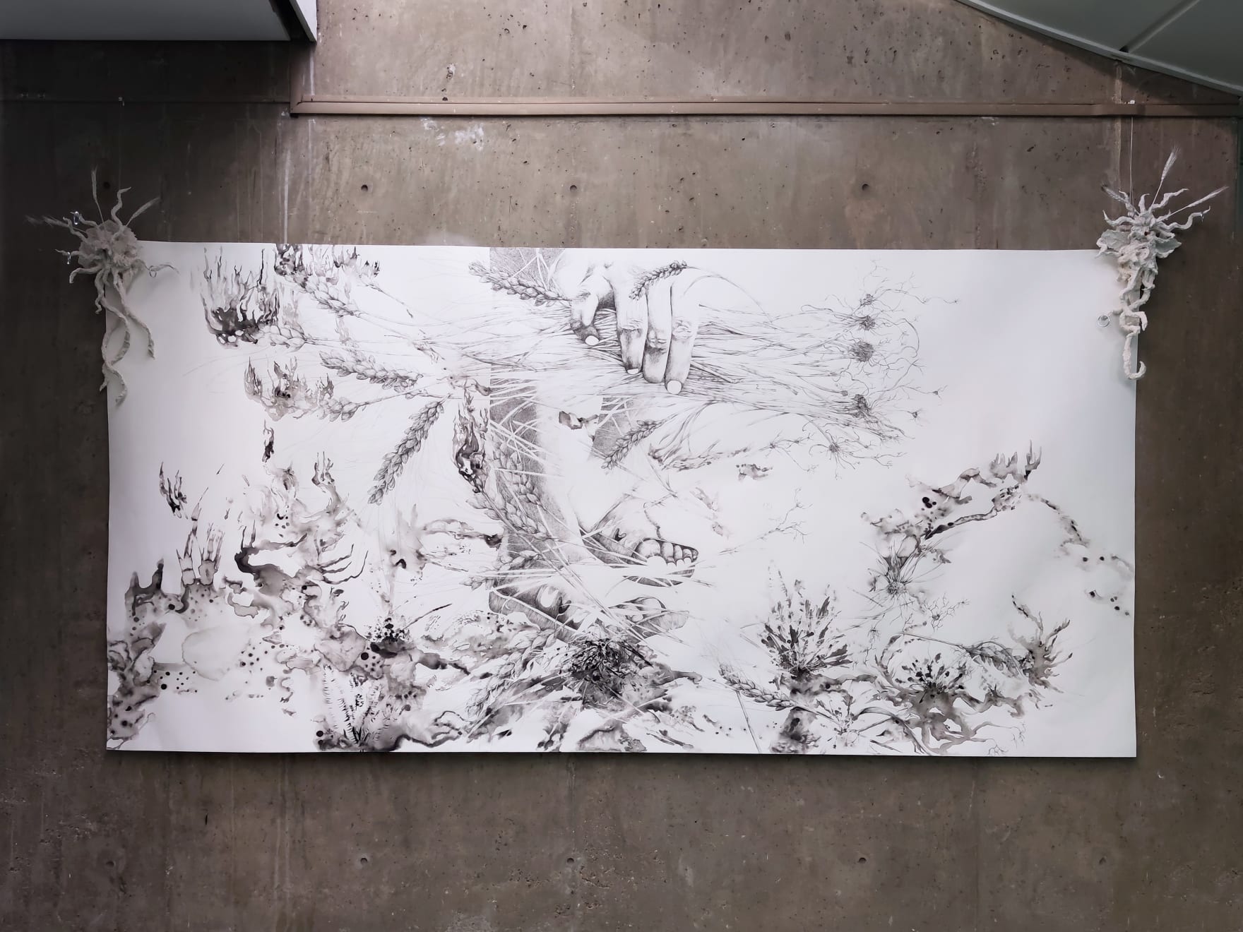 Florian Sông Nguyen, Samah, les blés en feu, 2023