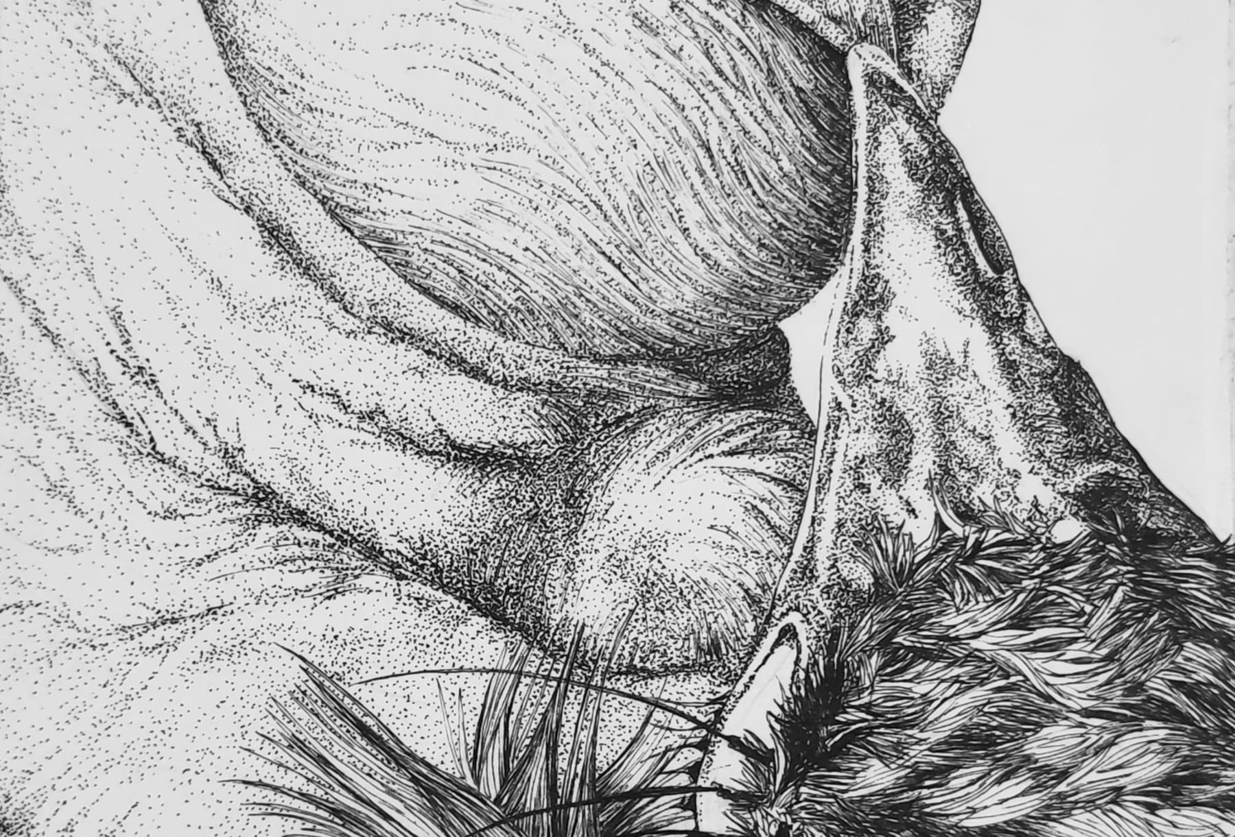 Florian Sông Nguyen, Parcelles n3, 2023