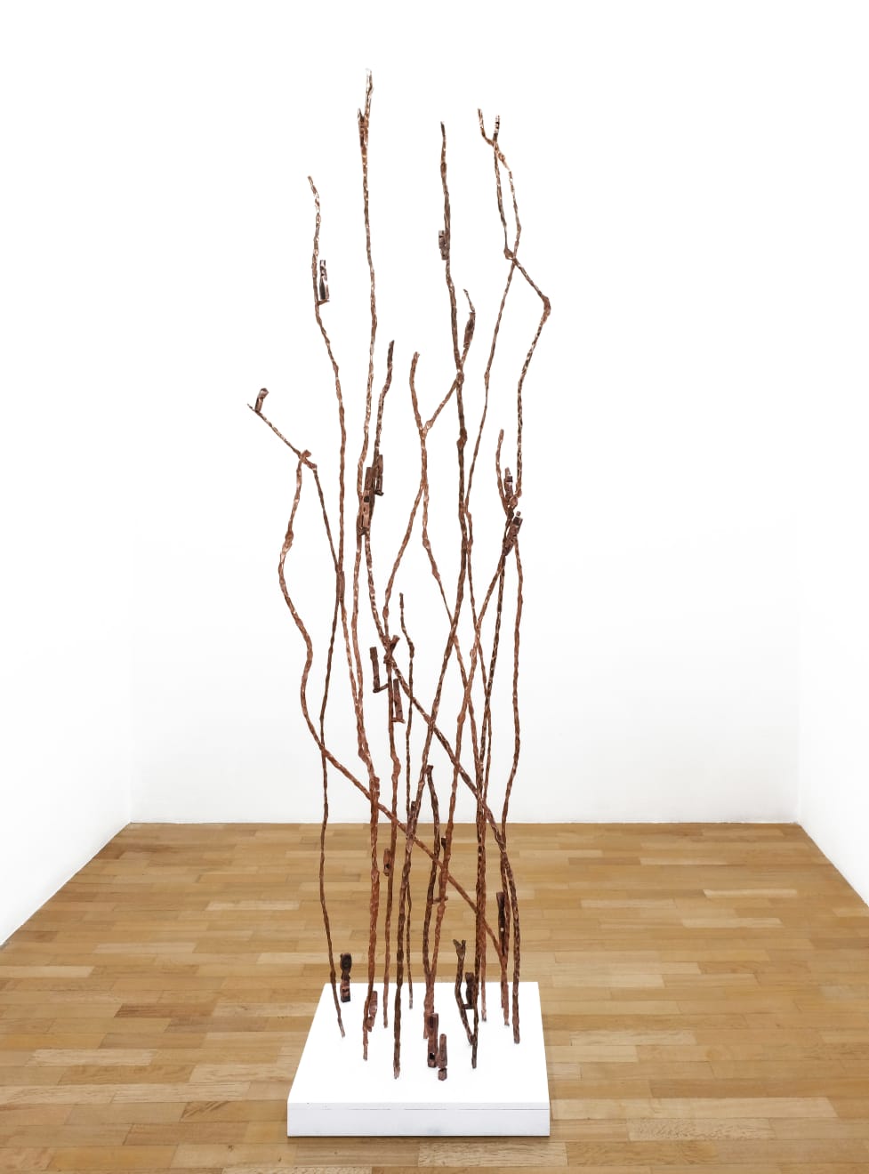 Chiara Crepaldi, Mangrovia, 2025