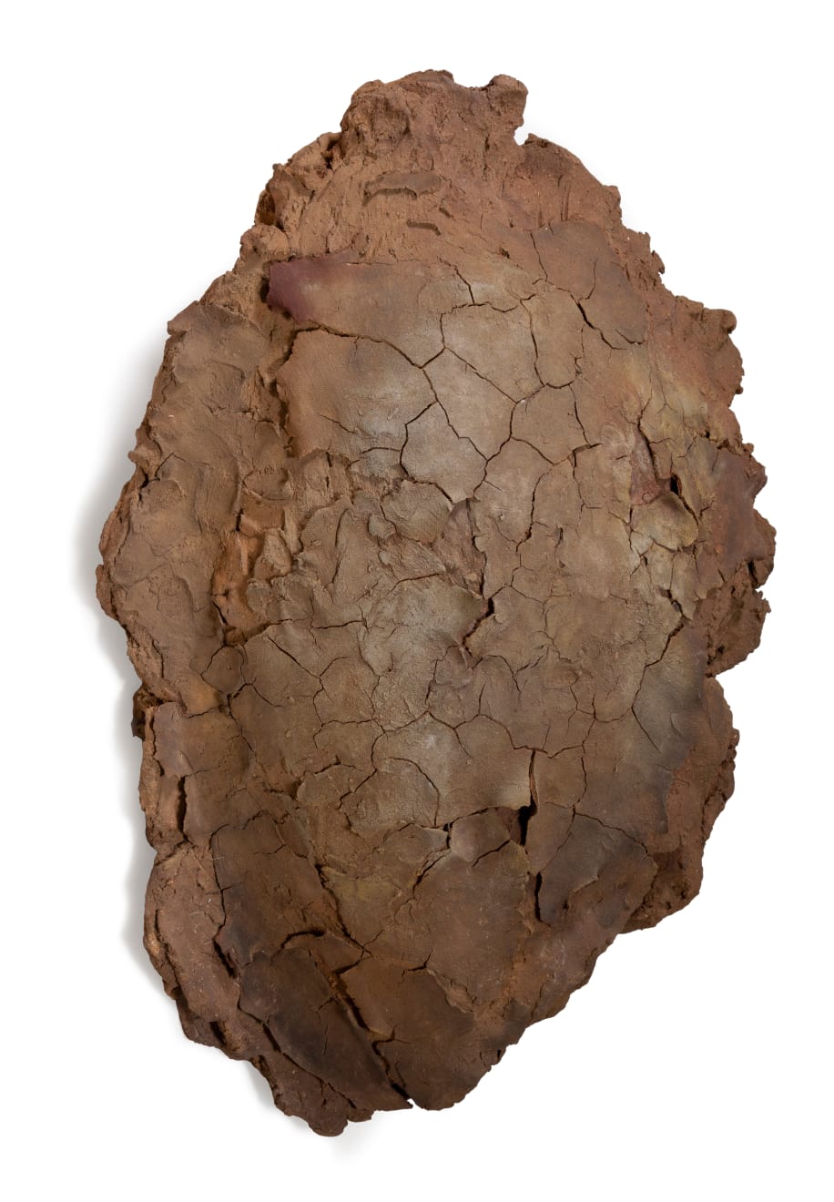 Nanni Valentini, Testa (...dove si racconta), 1984