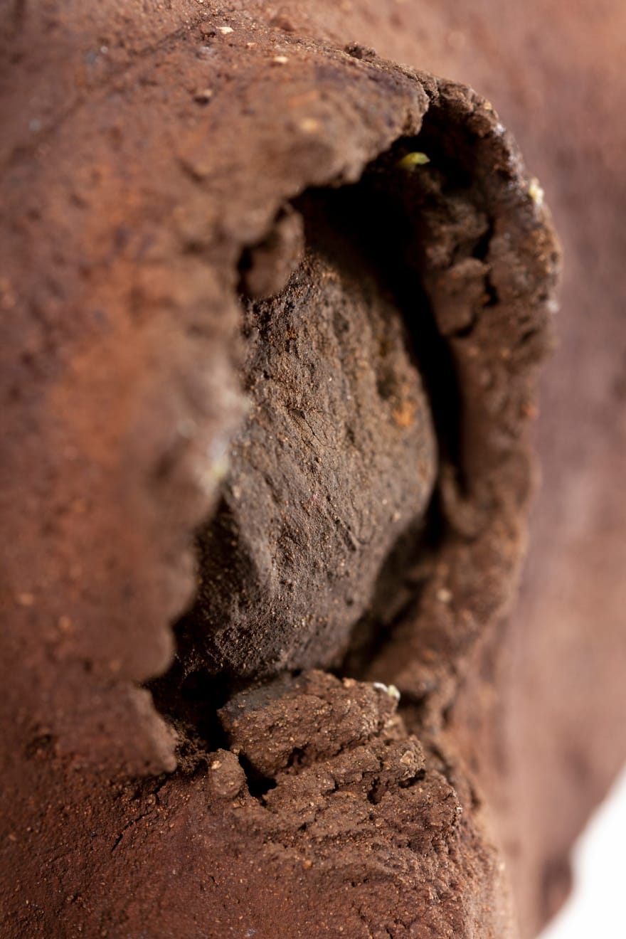 Nanni Valentini, La terra della sera, 1978-79