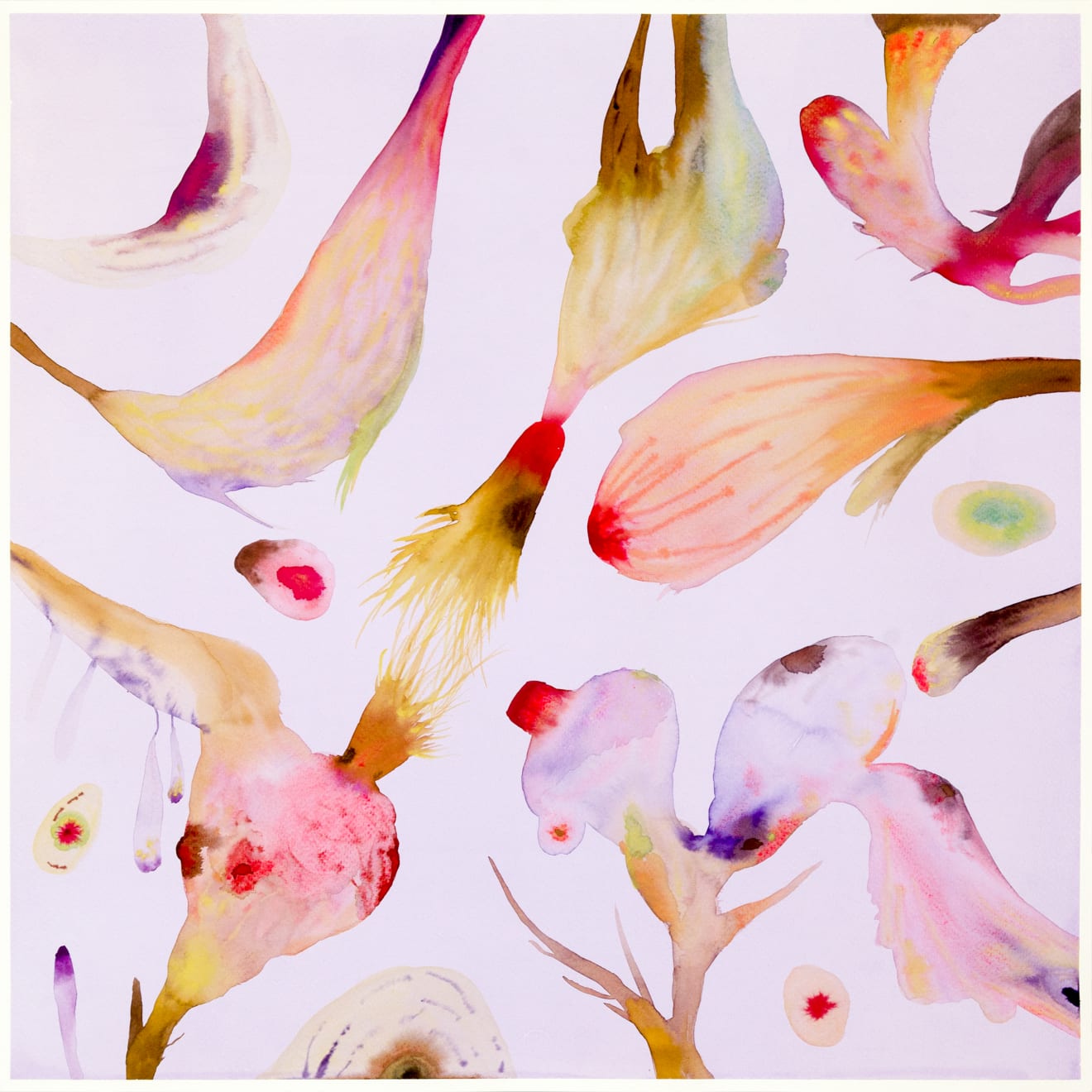 Isabella Nazzarri, Innesti #83, 2016