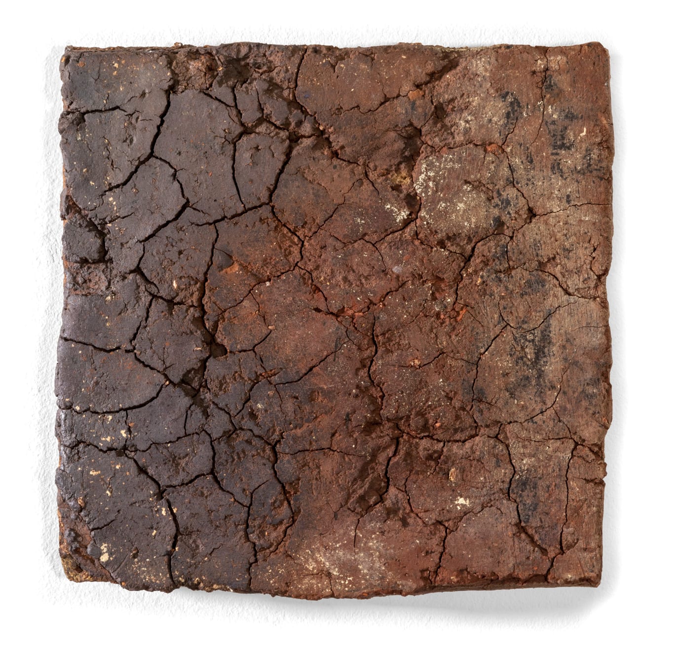 Nanni Valentini, I segni della terra, 1978