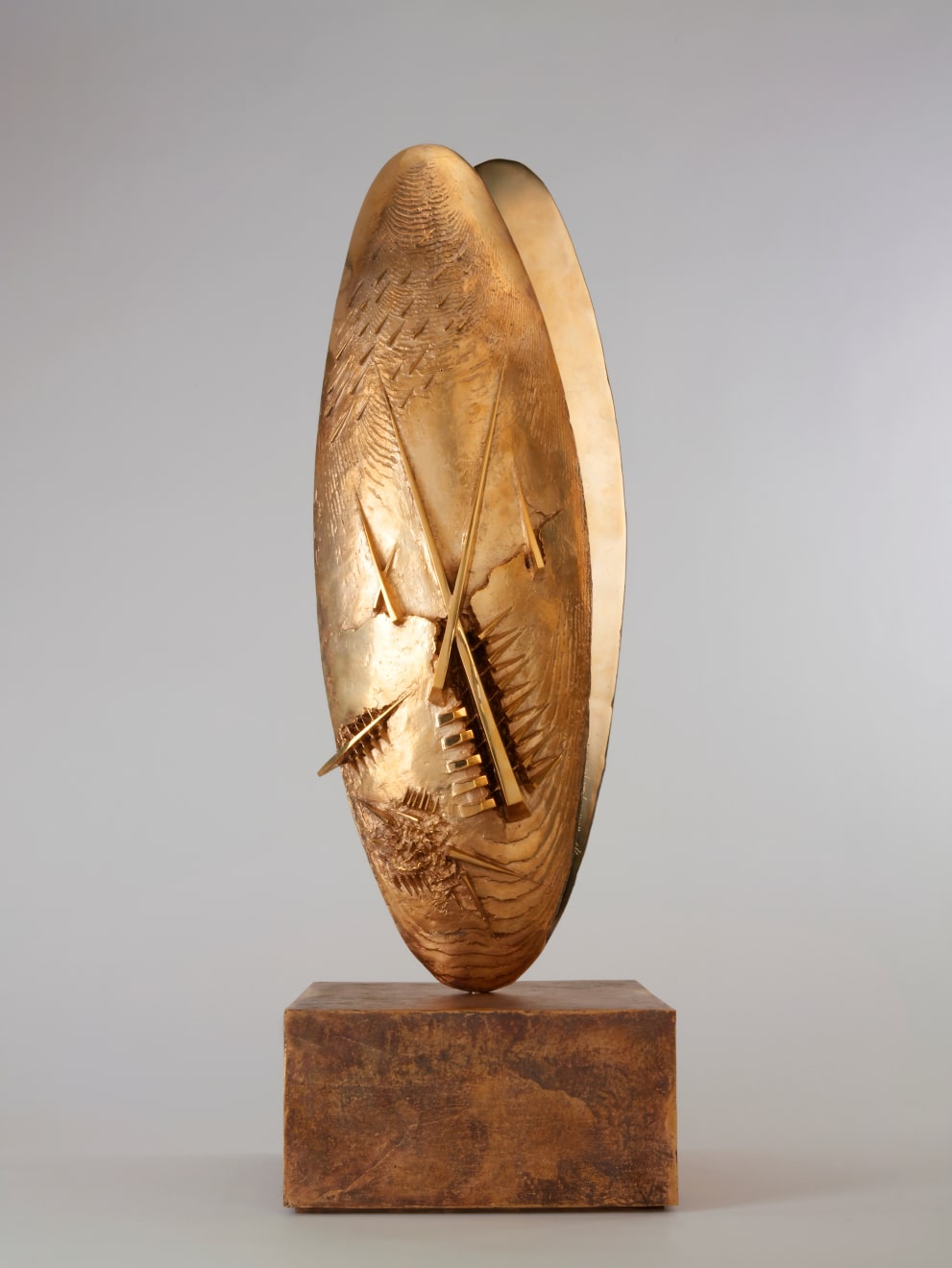 Arnaldo Pomodoro, Scudo, 2010