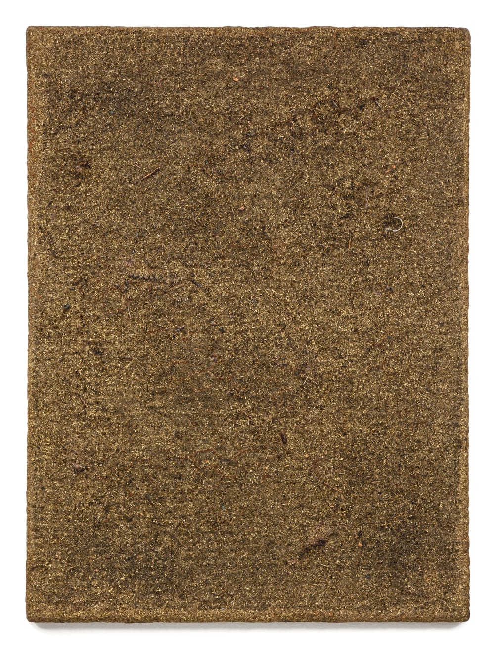 Alan Bee, Swarm (Invenire melius mundi), 1980