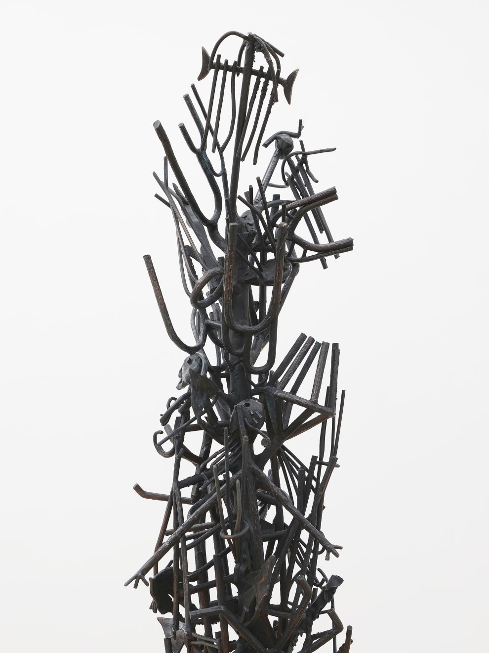 Chiara Crepaldi, Uccelli di rovo, 2024