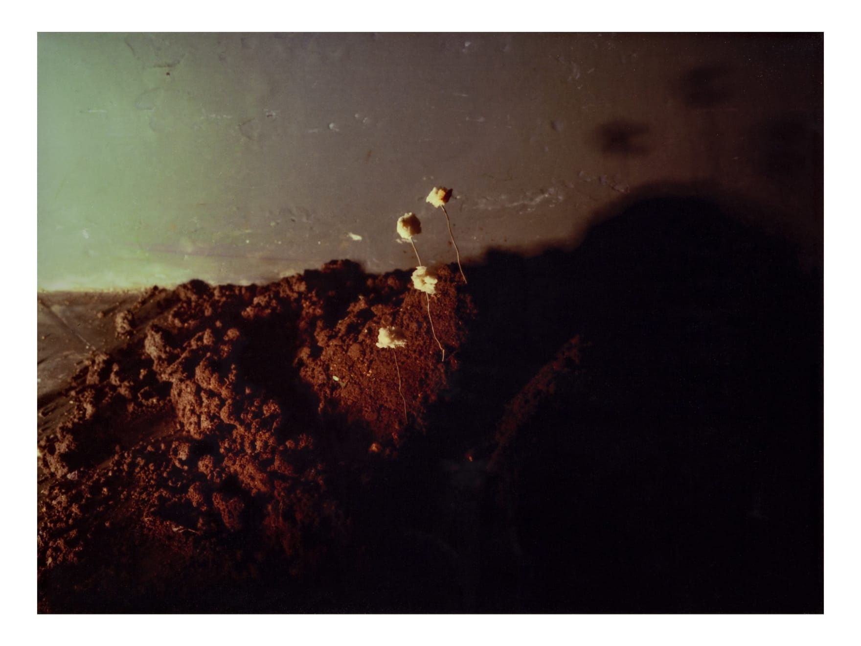 Michele Zaza, Magico (7 el.), 1978