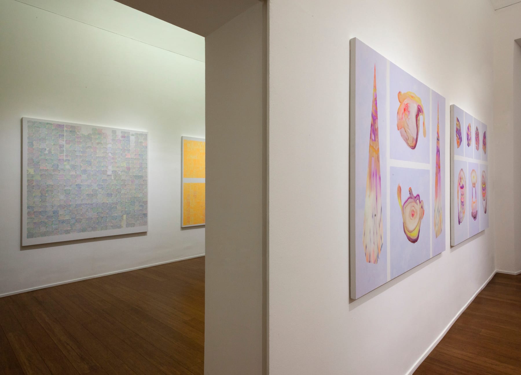 Viviana Valla, Chromofobia, 2016