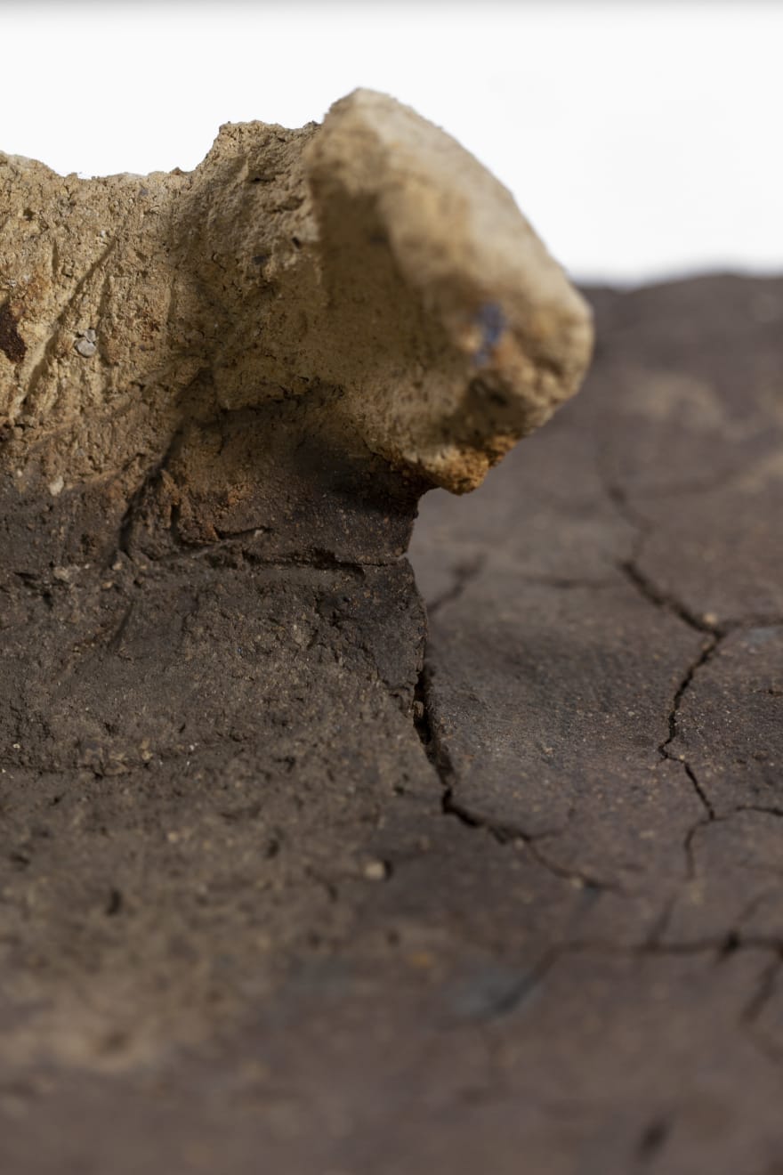 Nanni Valentini, Nascita del nido, 1980-83