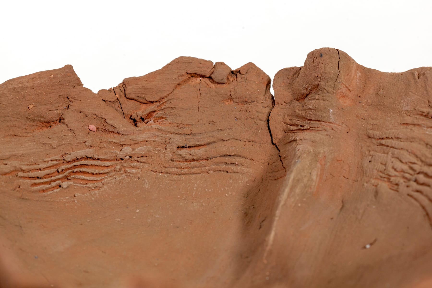 Nanni Valentini, Graal, 1980-82