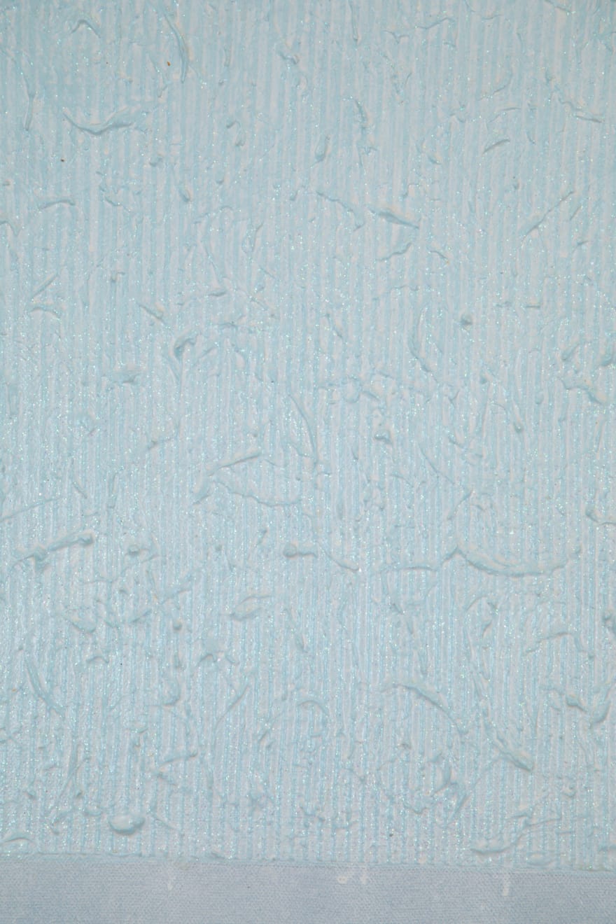 Tomas Rajlich, Untitled, 2007