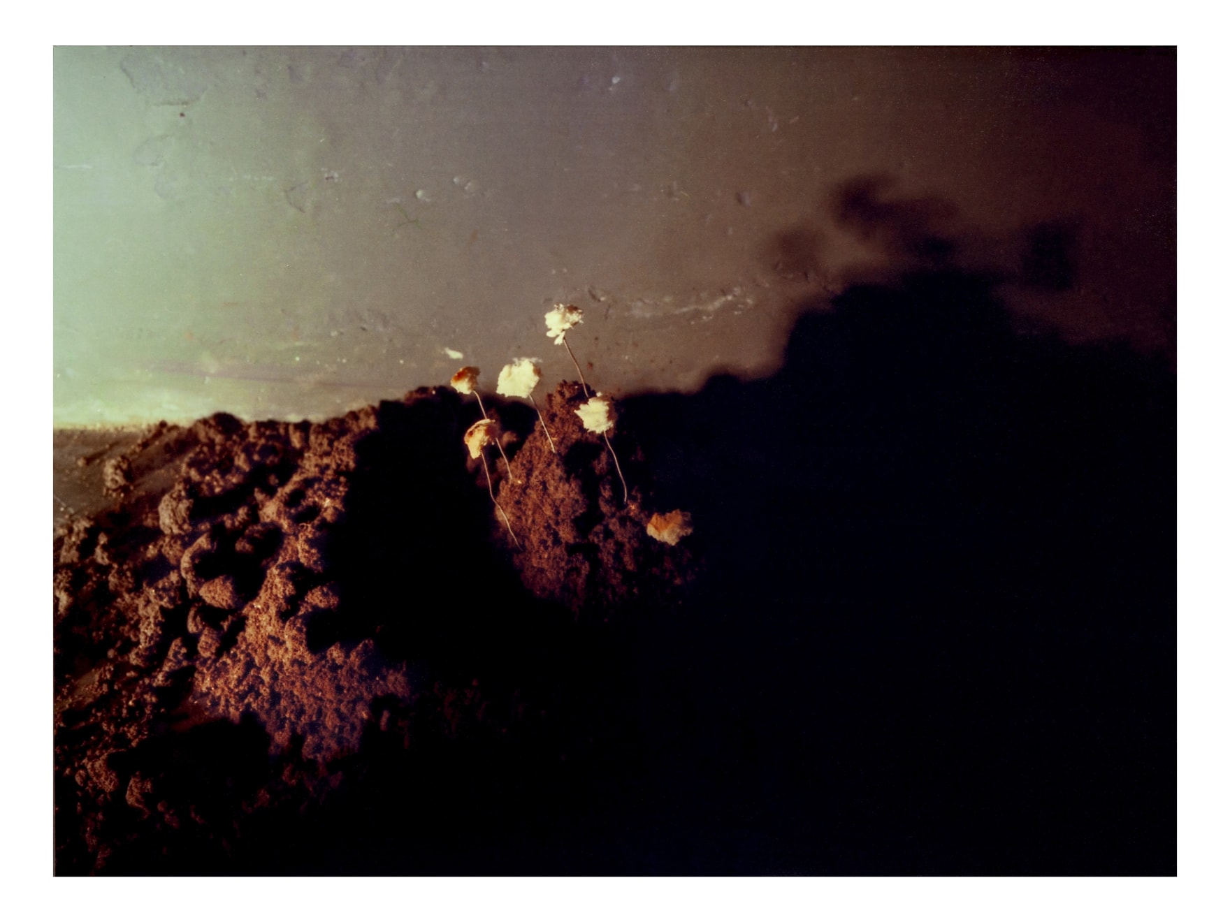 Michele Zaza, Magico (7 el.), 1978