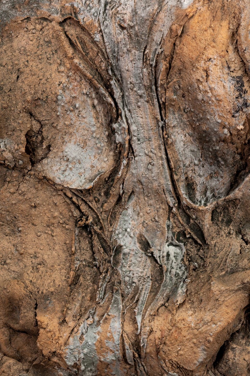 Nanni Valentini, Studio (da il Vaso e il Polipo), 1978-82