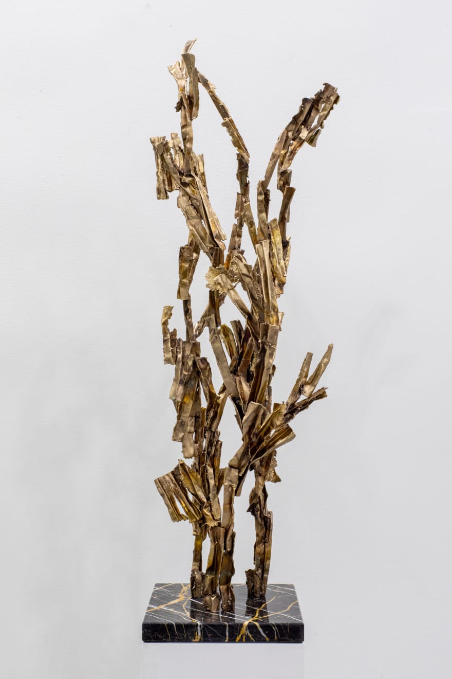 Chiara Crepaldi, Coralli, 2025