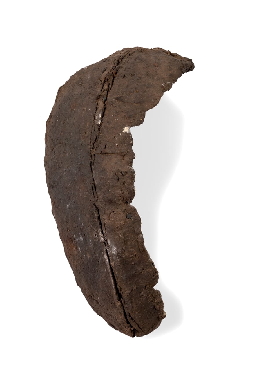 Nanni Valentini, Volto, 1980