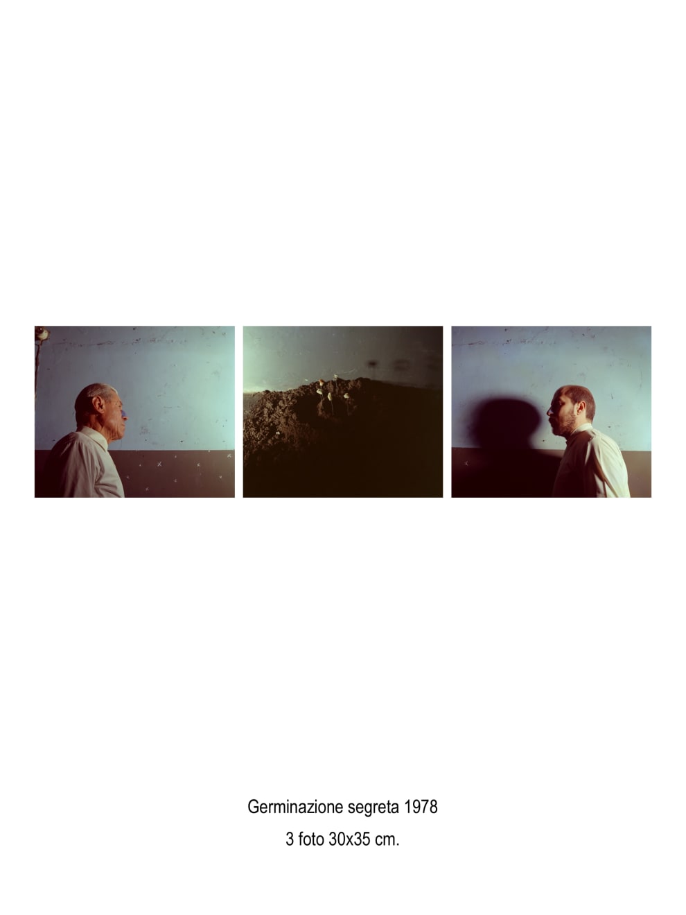 Michele Zaza, Germinazione segreta (3 el.), 1978