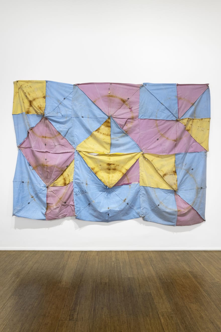 Zé Tepedino, Vanda, 2024