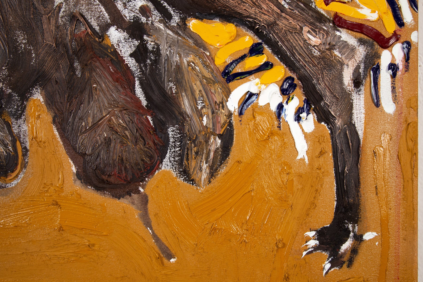 Vinicius Gerheim, a cachorra da Madonna, 2021