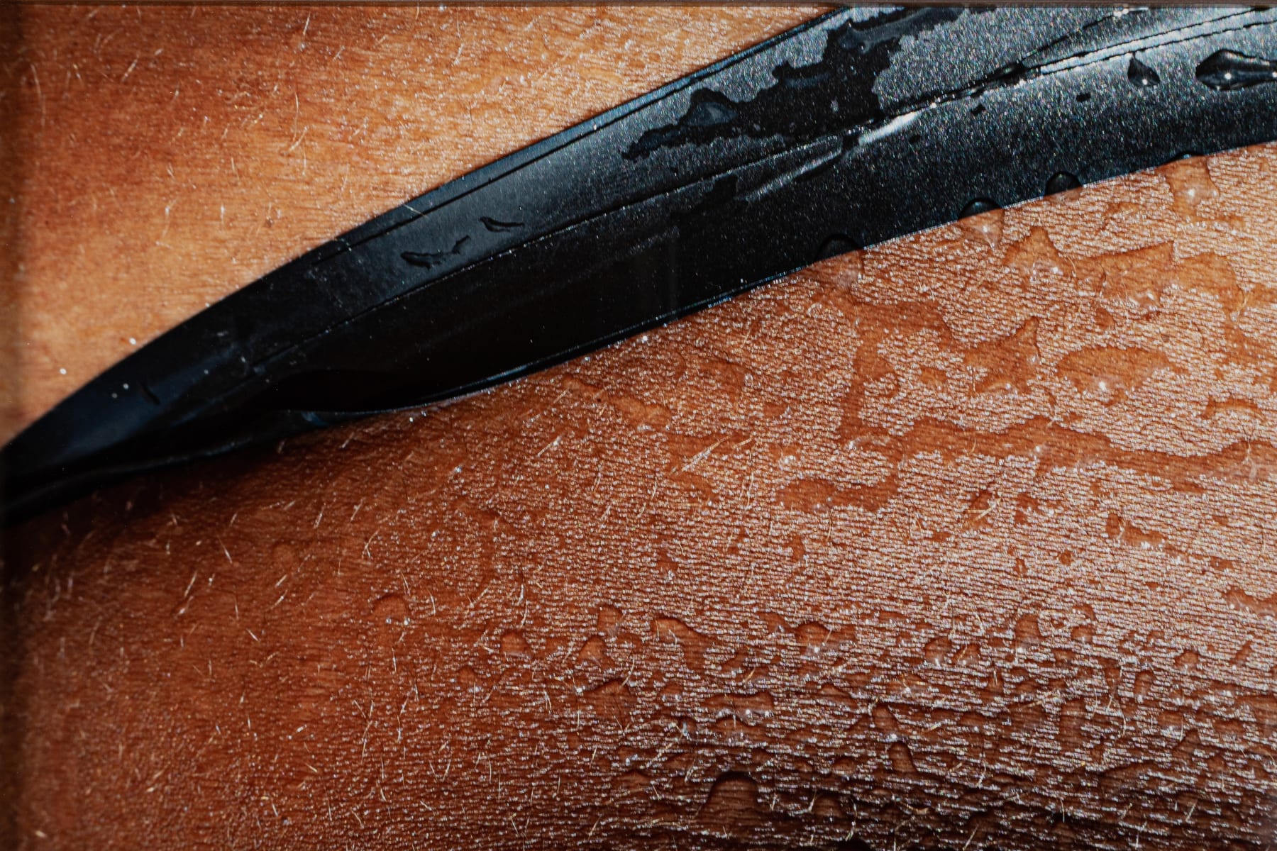 Agrade Camíz, Após a Curva Vire à Esquerda, 2023