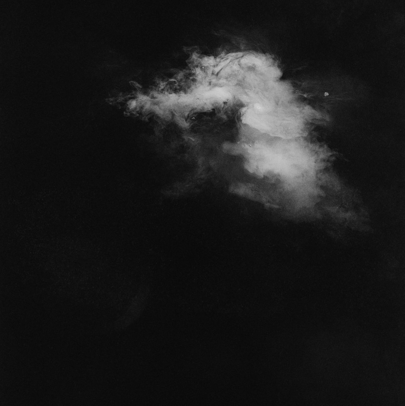 Maria Laet, Sustentação (II), 2010/2020